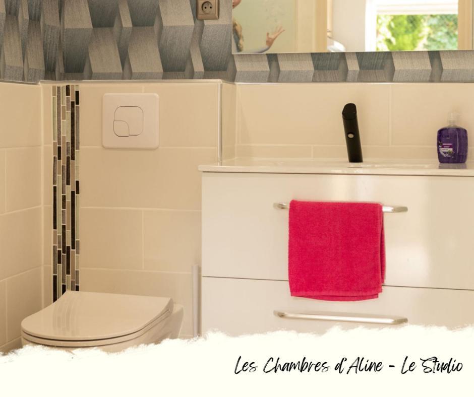 Les Chambres D'Aline Conches الغرفة الصورة