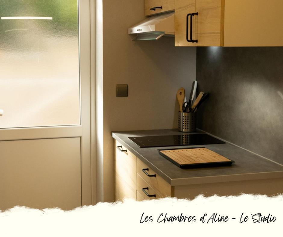 Les Chambres D'Aline Conches الغرفة الصورة